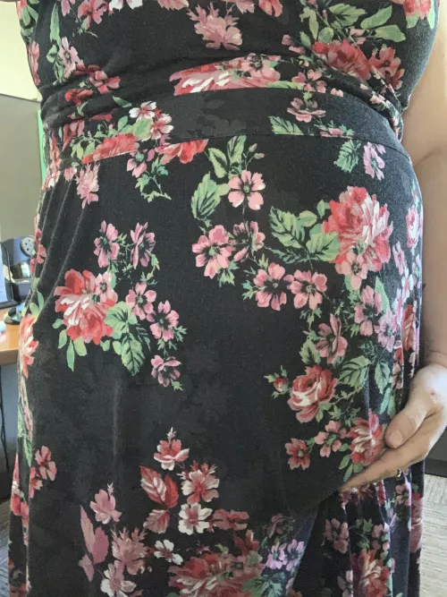 Empty and I still look pregnant by Internal_Complaint77