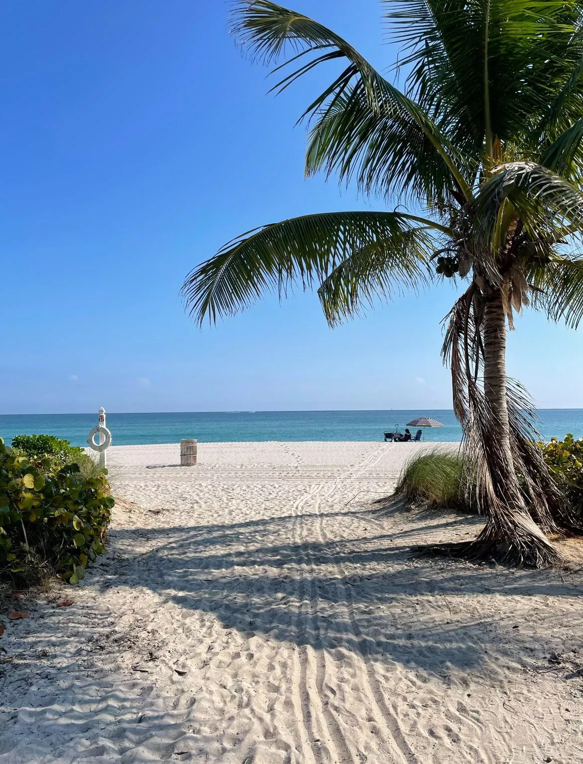 Find your beach  posted by Shipwrecklou