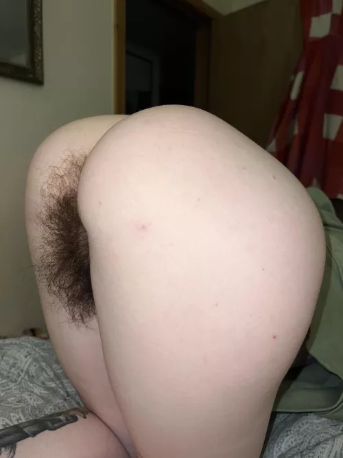 [h] brave enough to eat out a hairy ass like this? by Many-Aioli688