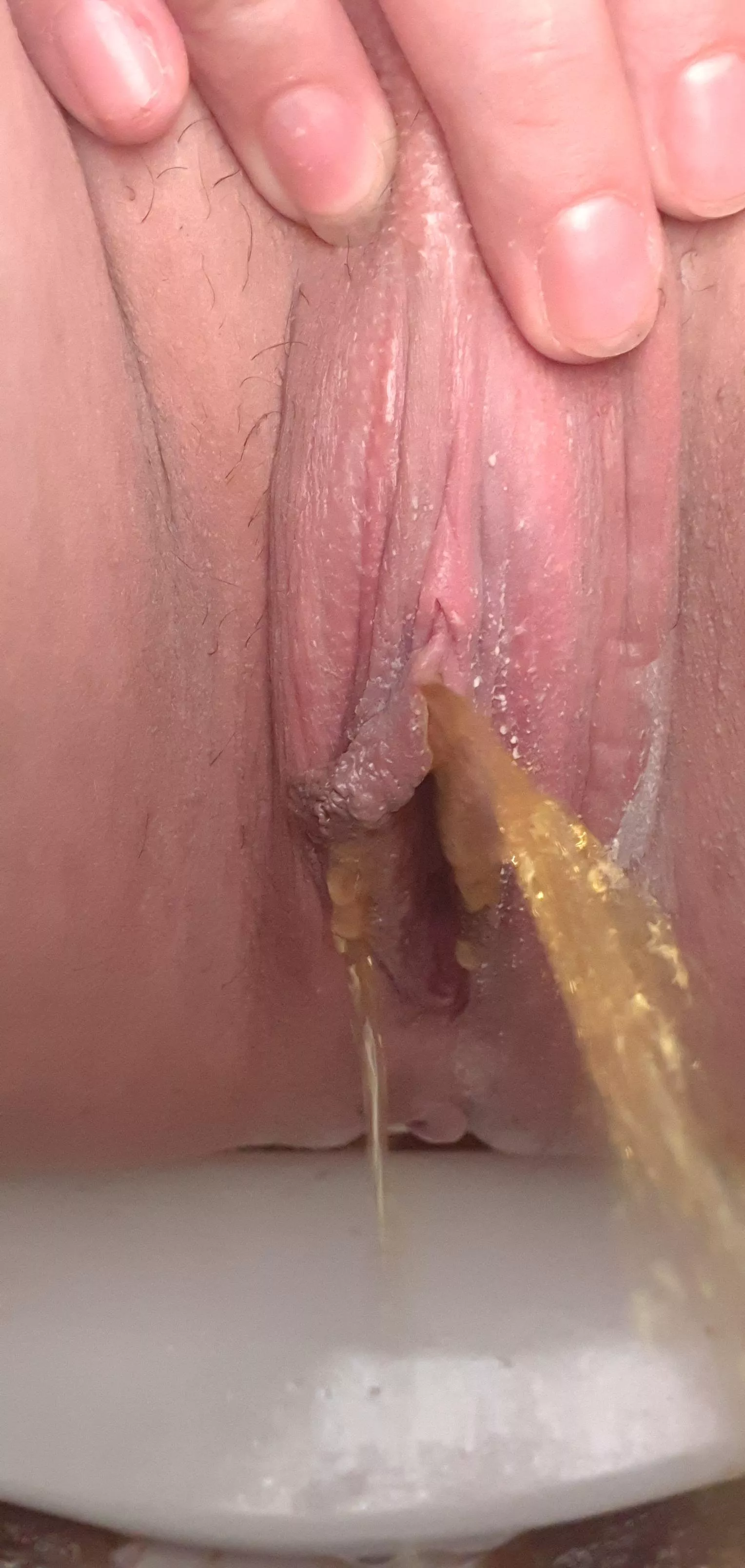 He likes the language  posted by caliente039