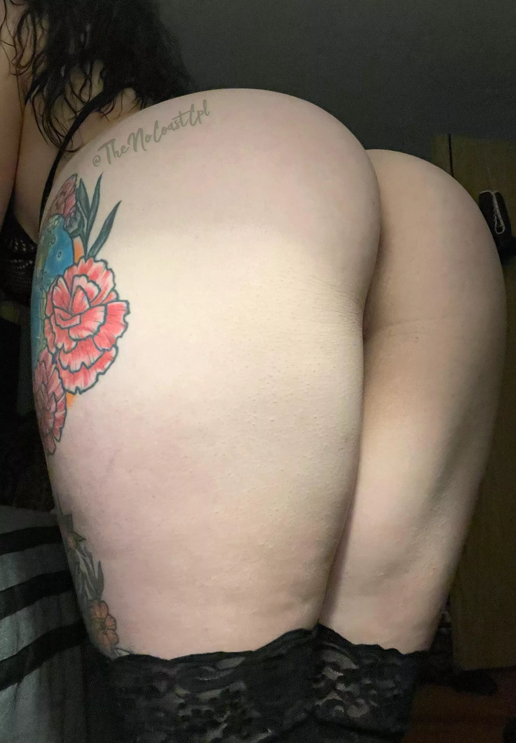 Hope you’re having a wonderful hump day!  posted by NoCoastCpl