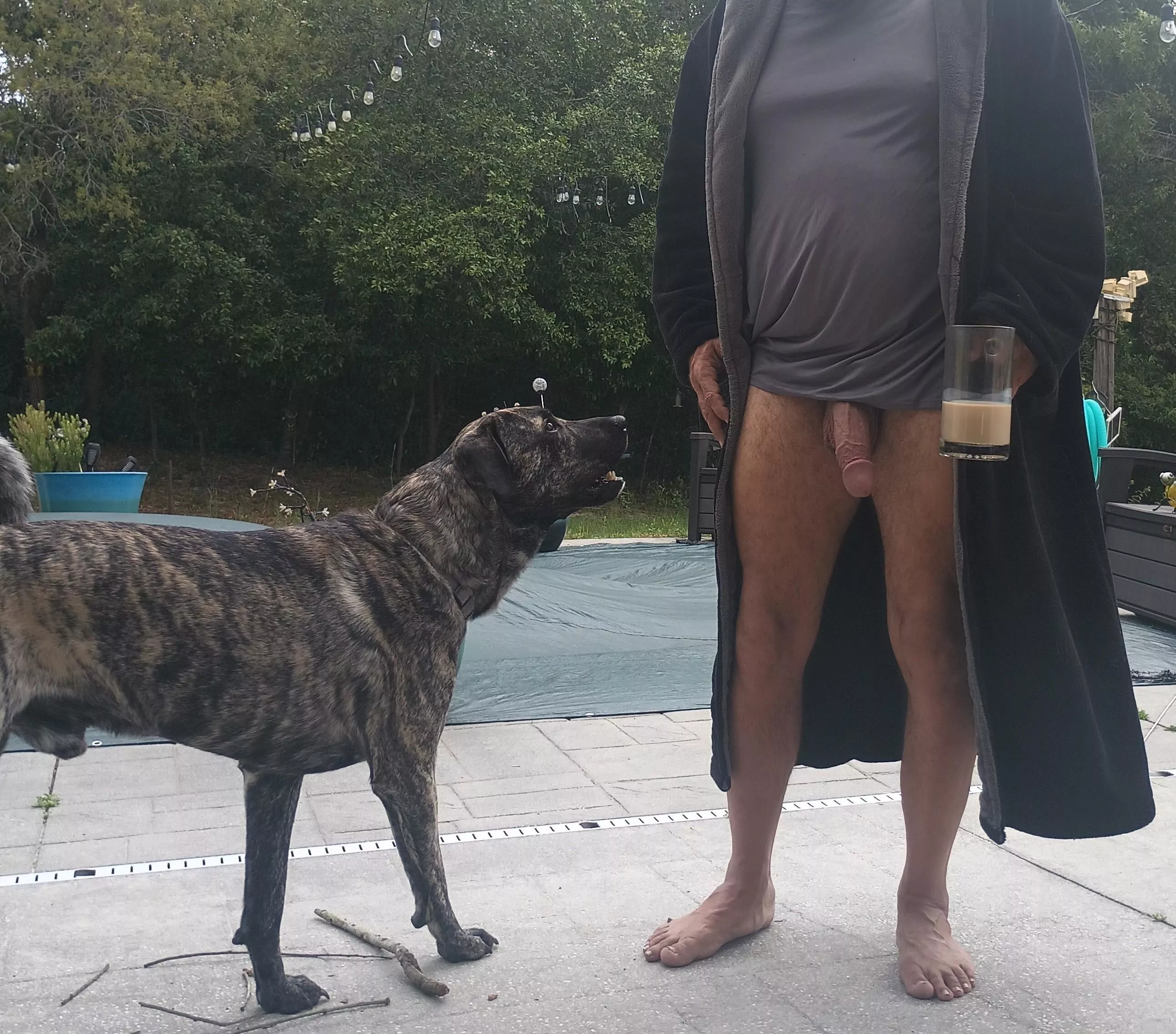 I think he's trying to tell me something posted by Fatandmad