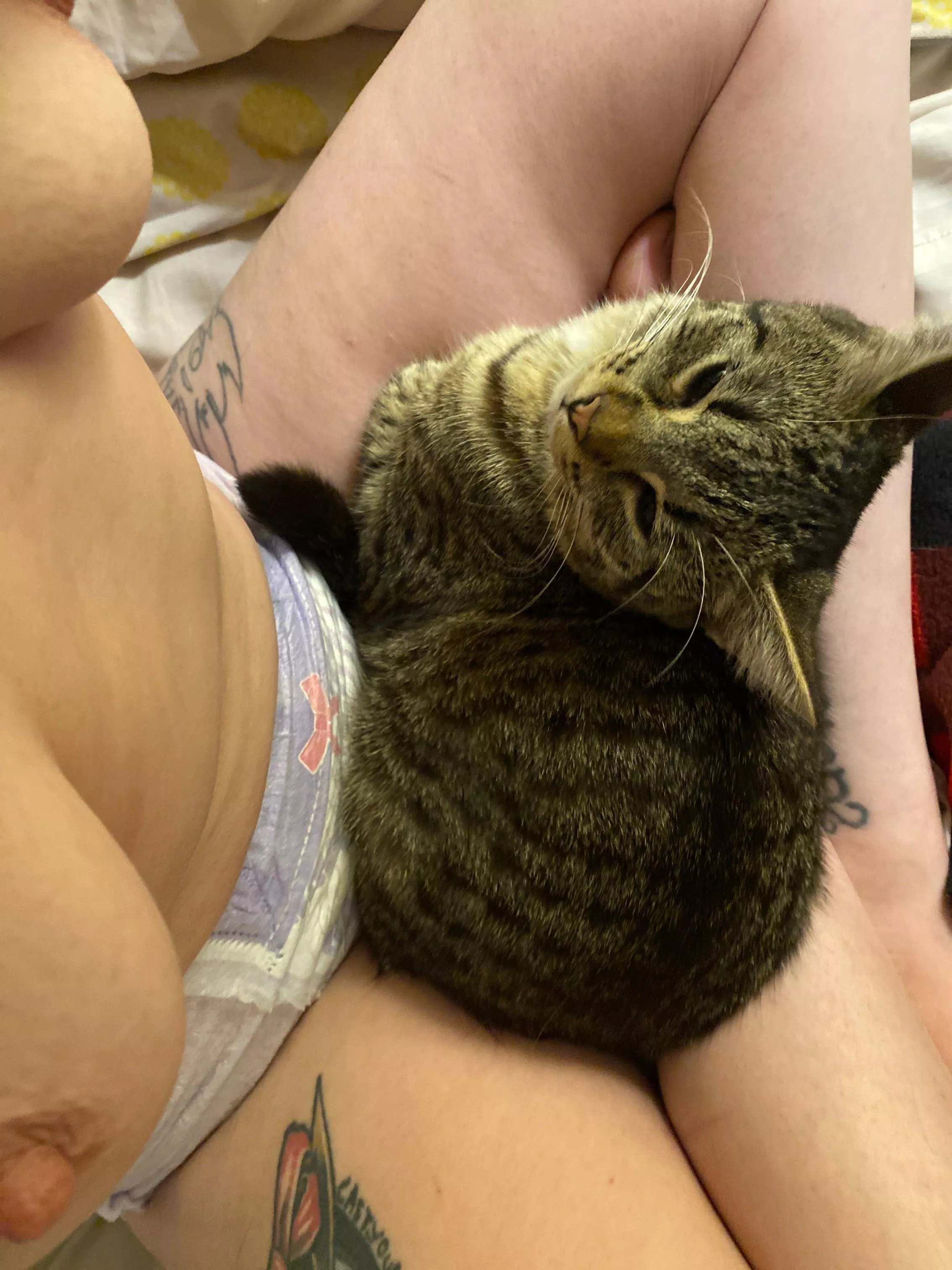 I’m holding a kitty daddy! posted by Bunny_Sayomi