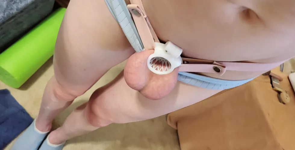 inverted chastity 🩷 by Square-Condition56