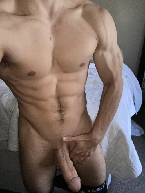 Is that what you have been looking for ? by Ok_Adeptness_7847