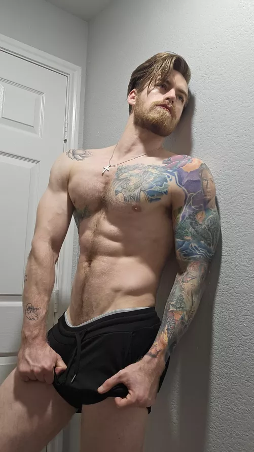 Is this wild enough? by The_LucasKing