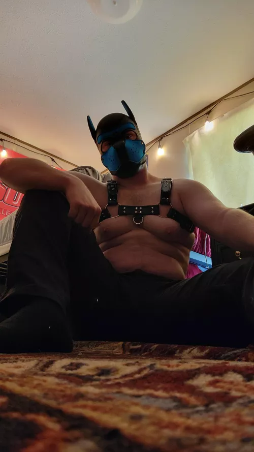 Just chilling  by somerandomtrumpet