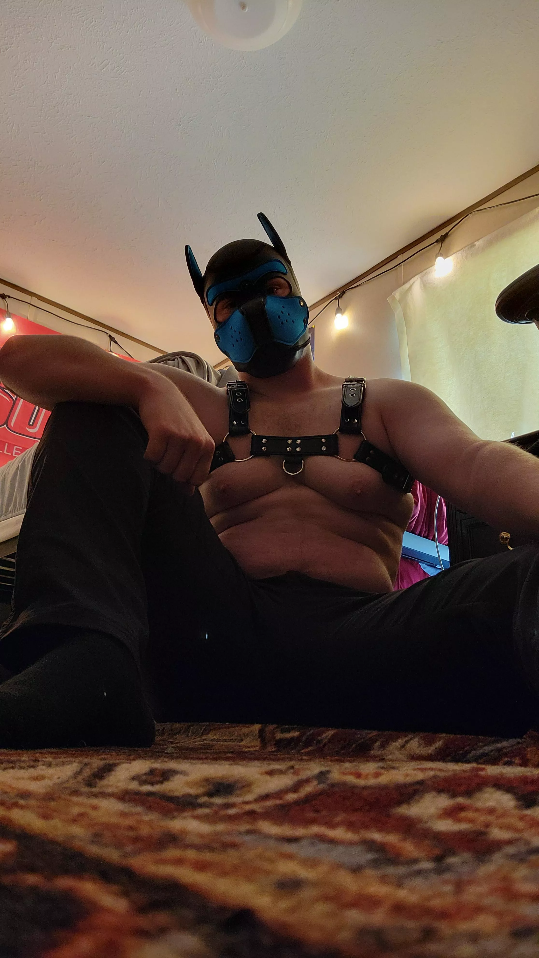 Just chilling  posted by somerandomtrumpet