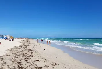 Miami posted by carlinhomotta