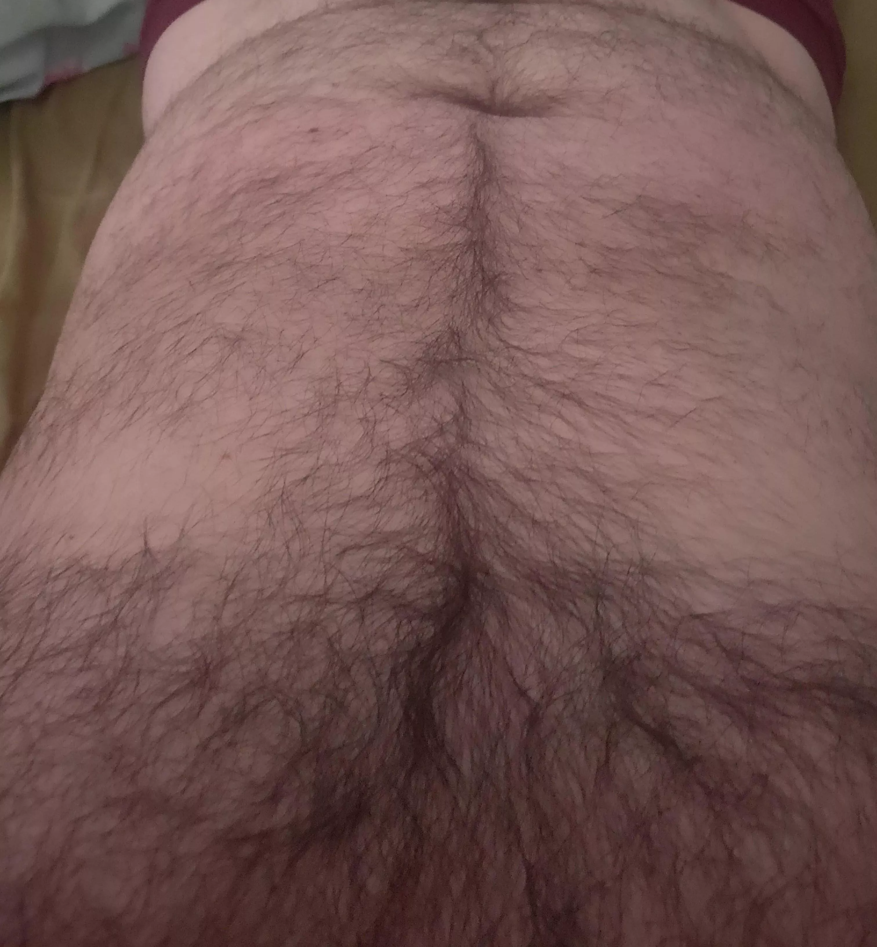 Morning wake up time  posted by HairyDiplodocus