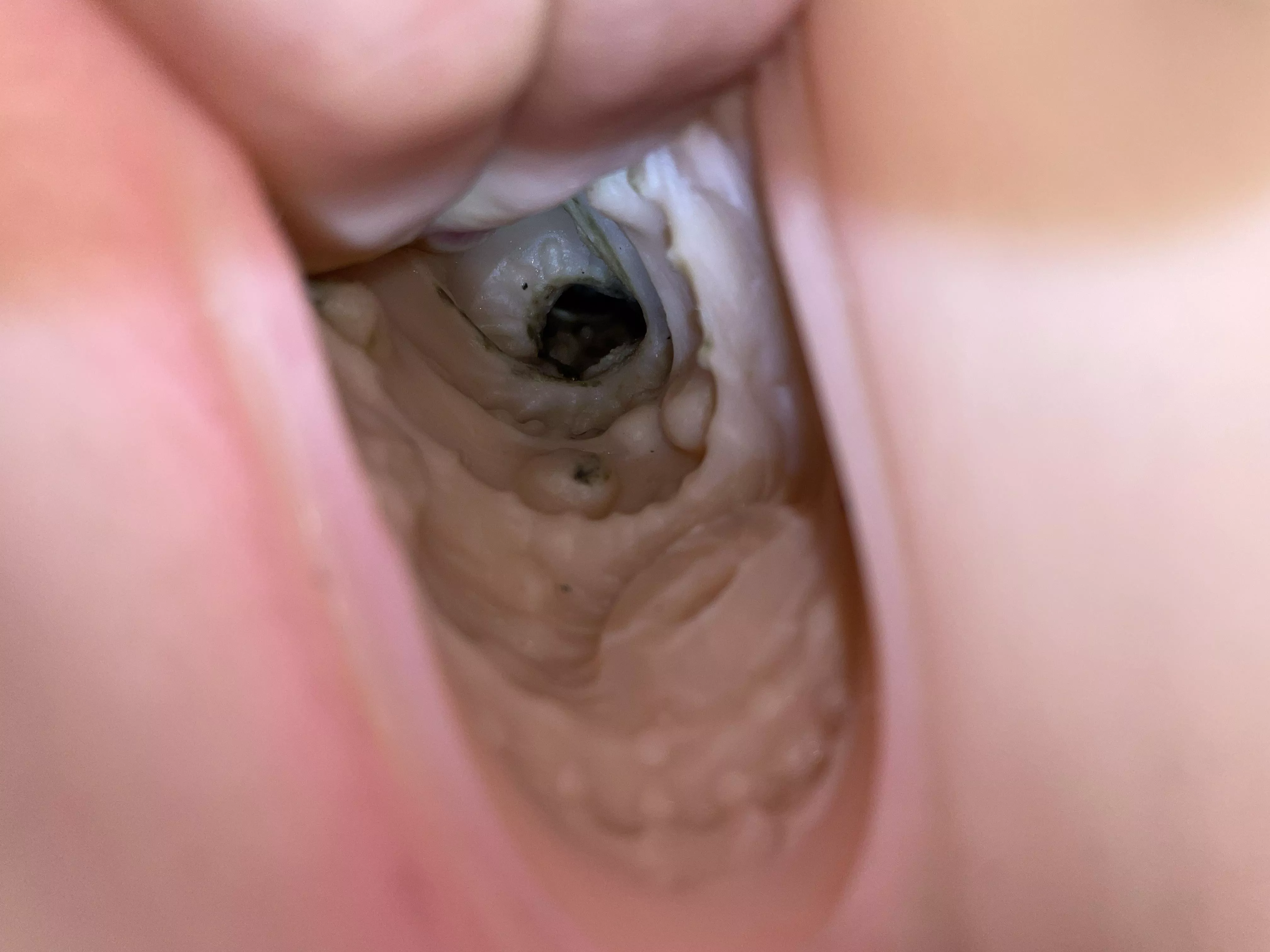 Need cleaning help posted by Great_Oven_4075