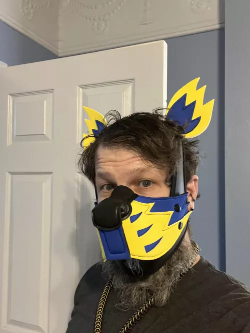 New hood, same Daxter by daddyundies