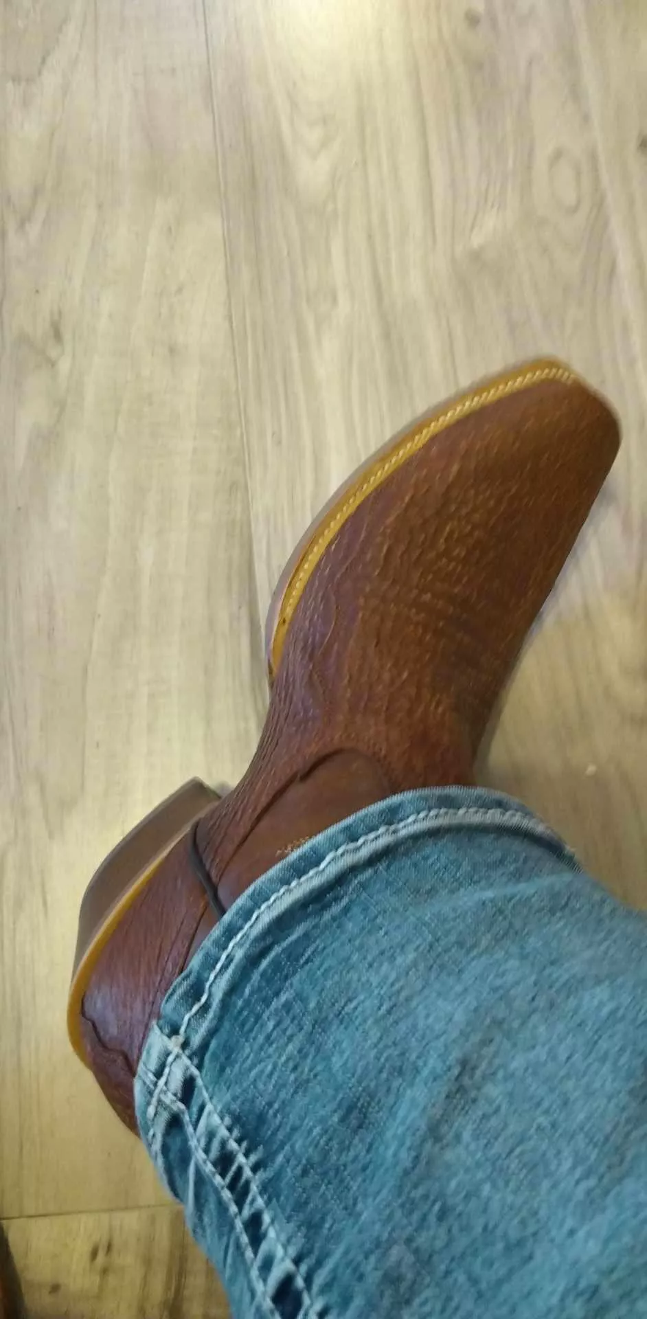 Nice new sharkskin posted by ComposerSuspicious18