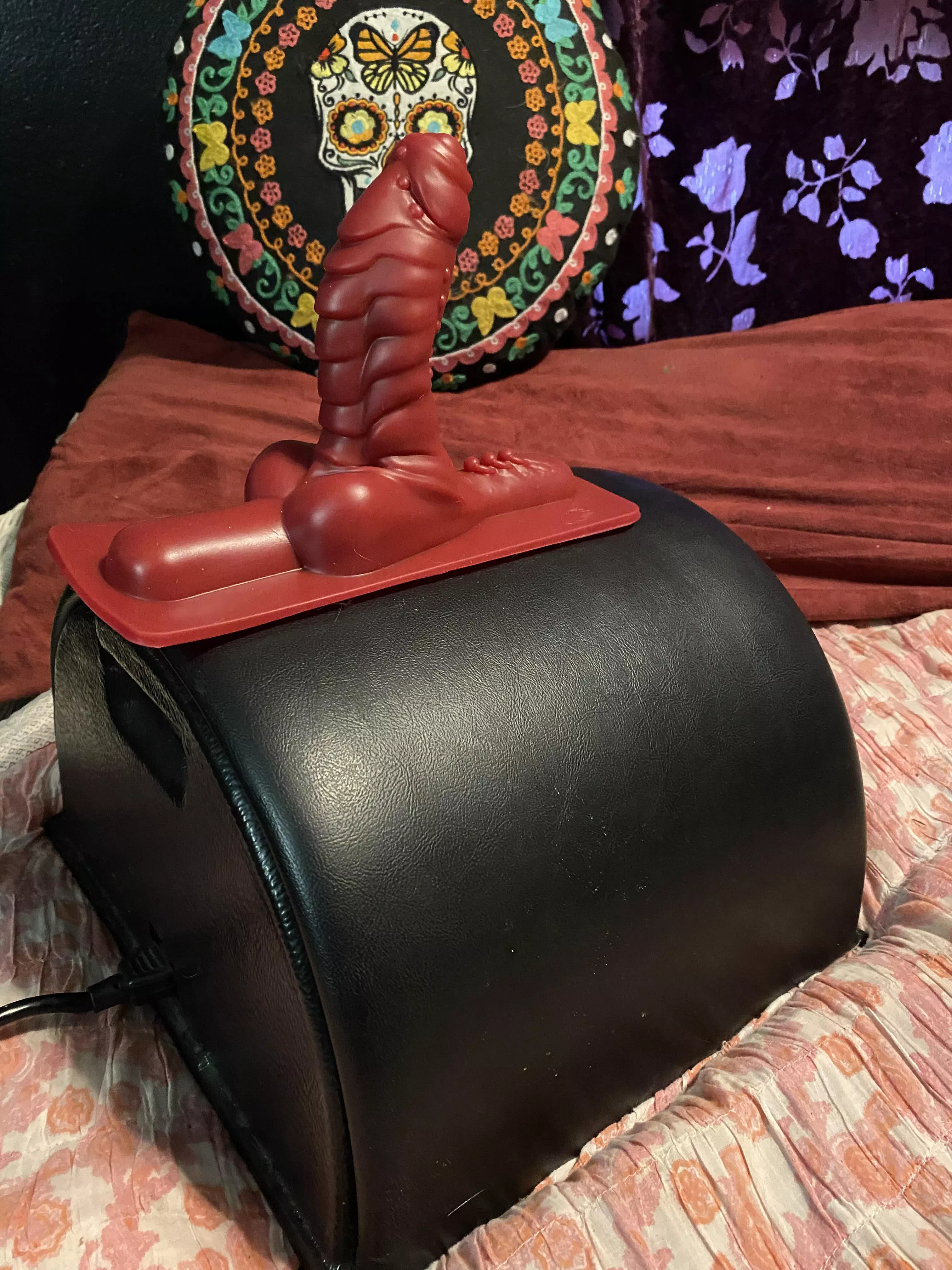 Picked up a Flint attachment for my sybian in the spring cleaning sale  posted by PorscheUberAlles