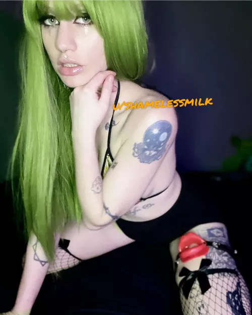 shamelessmilk (@shamelessmilk) [onlyfans] by shamelessmilk