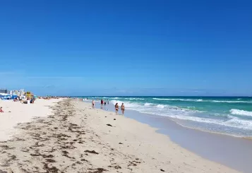 South Florida Beach posted by winredswin