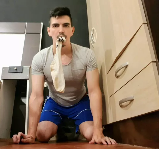 Sub dog eat socks by fran_pantera