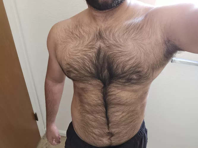 The pain you feel today will be the strength you will feel tomorrow by CaptSchwanzKopf