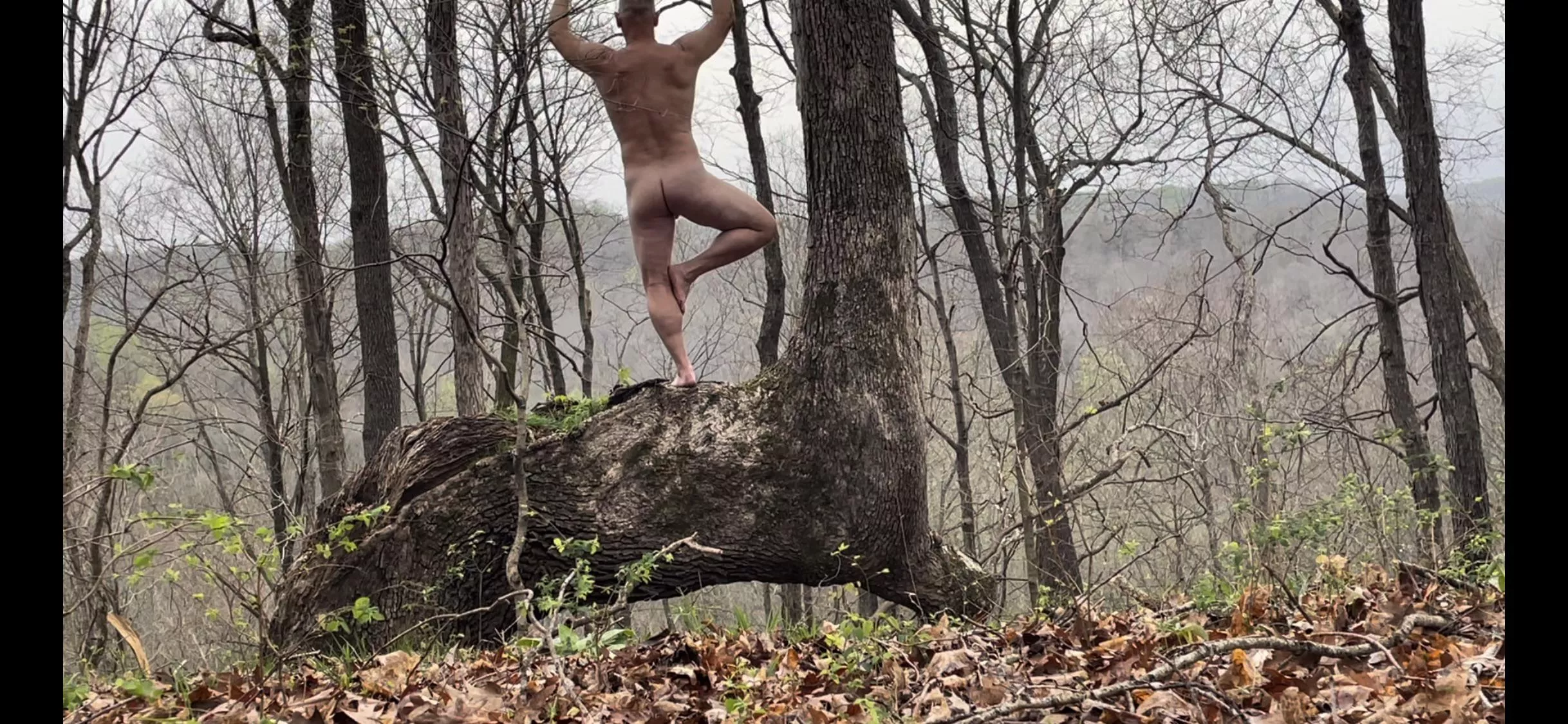 Tree pose Tuesday posted by aitor33