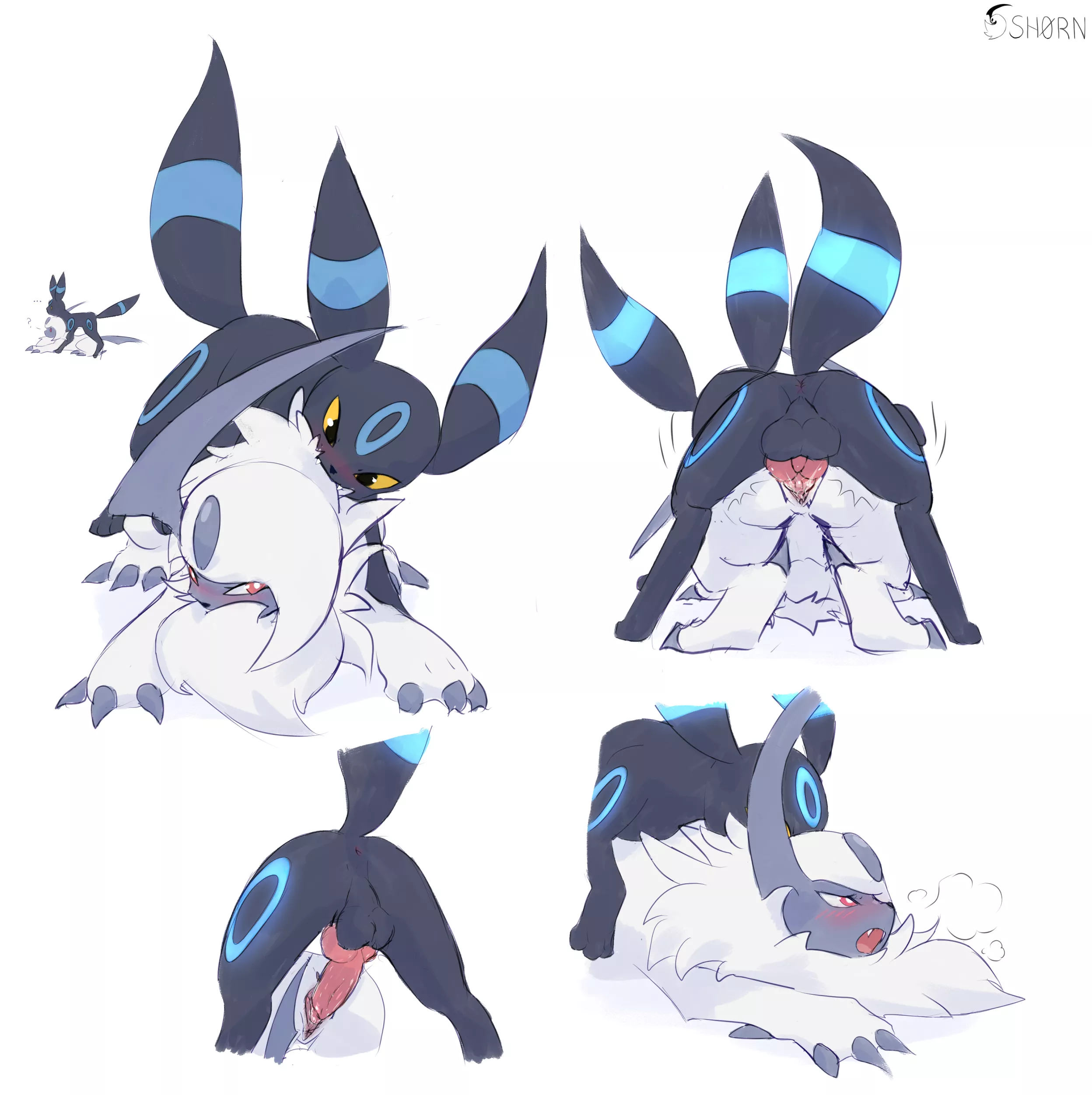 Umbreon and Absol seem to be having a good time... [MF] [DS_H0RN] posted by DS-H0RN