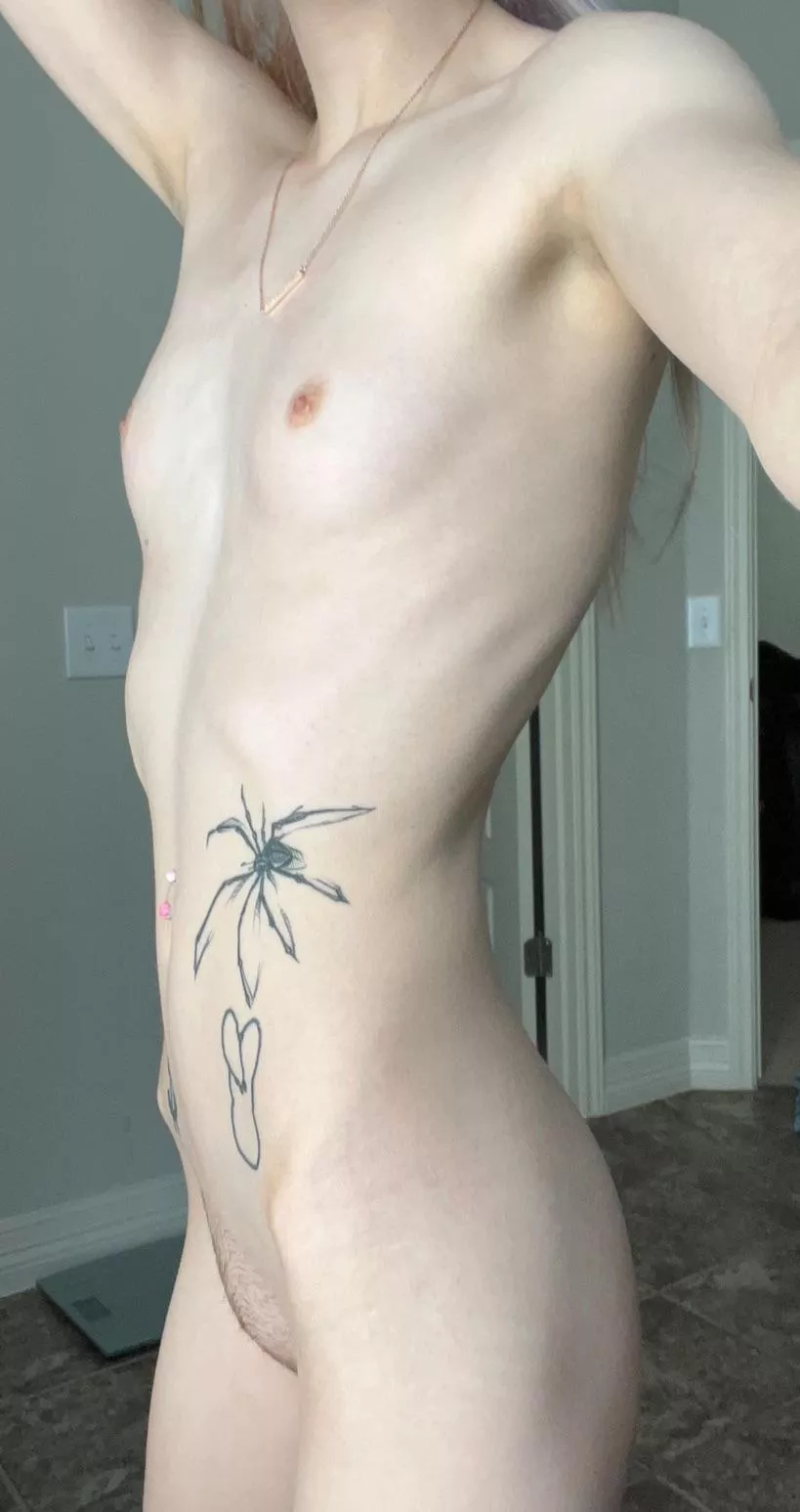 who wants to grab my love handles?  posted by graphicgemini