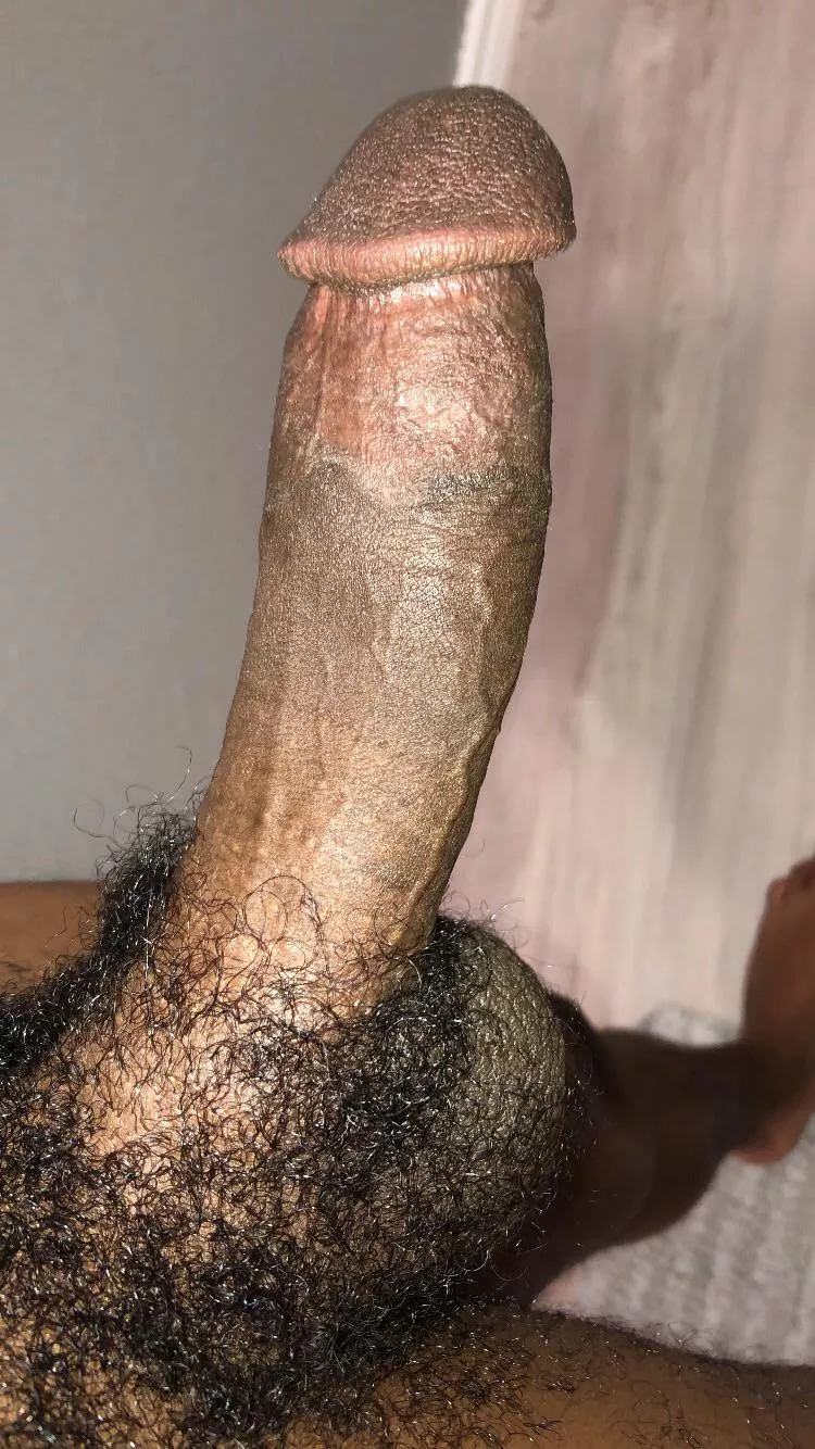 Who’s horny and wanna chat 🍆💦 posted by Confident-Taste6798