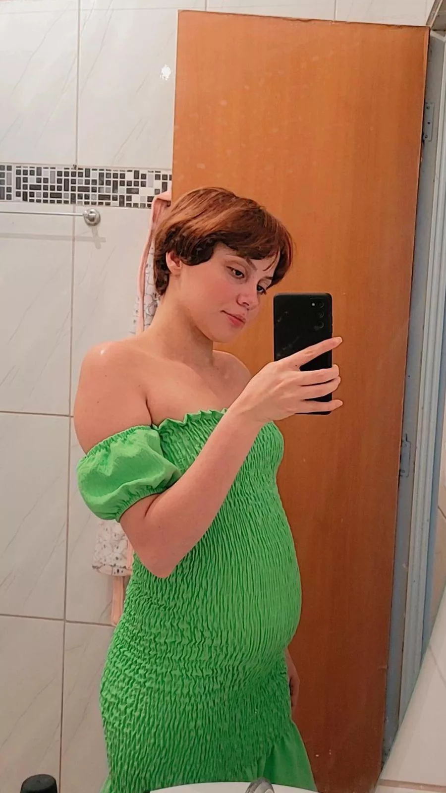 Would you have sex with a pregnant woman in this bathroom? posted by Baby_melyr