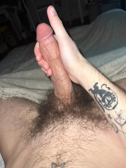 24m horny as fuck looking for bros to stroke with. hung hairy dicks to the front. bros w bush+++++ @beamerboy099 by gxyxcix