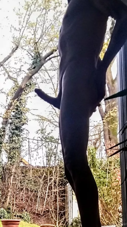 [45] Spring time ... Spring feeling  by fiver78b