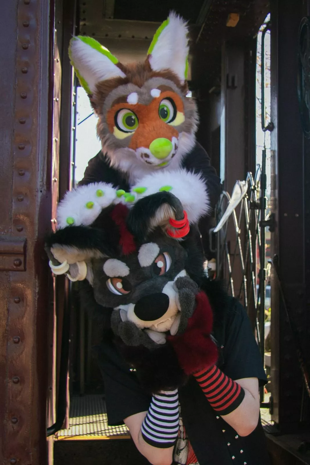 All aboard for Fursuit Friday! Can we see your tickets? posted by BarkleyShroomyote