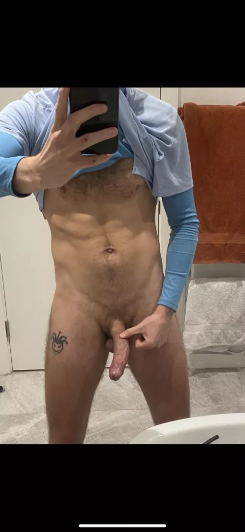 Breeding cock by Captaincurve907