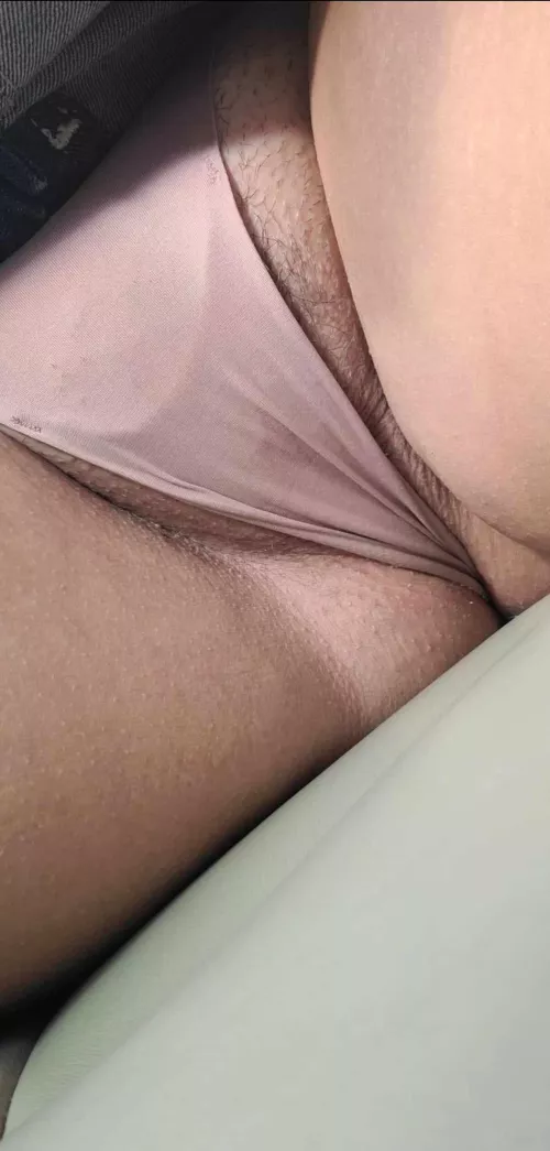 Can you find the wet spot? by Interesting_Basil_67