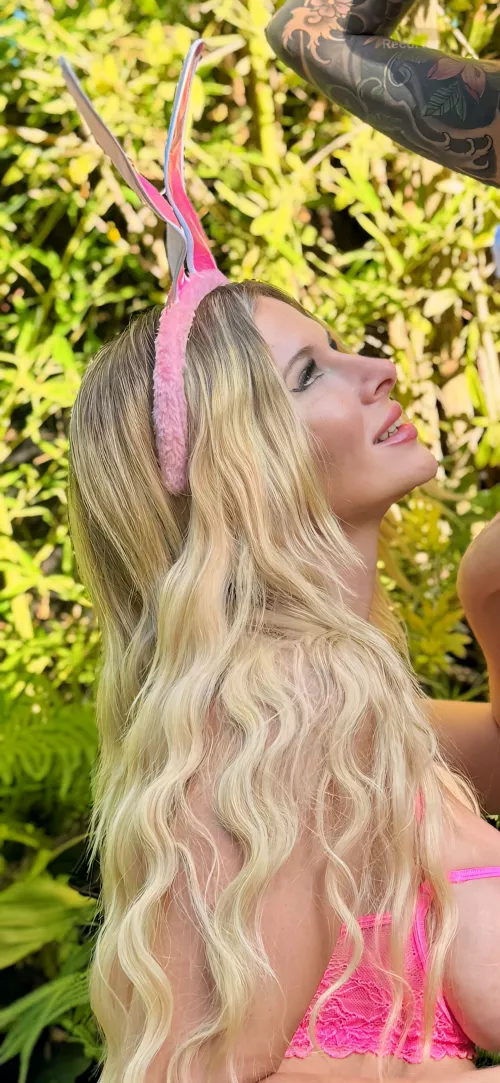 Do you want this bunny to look at you like that? by Ordinary-solcito