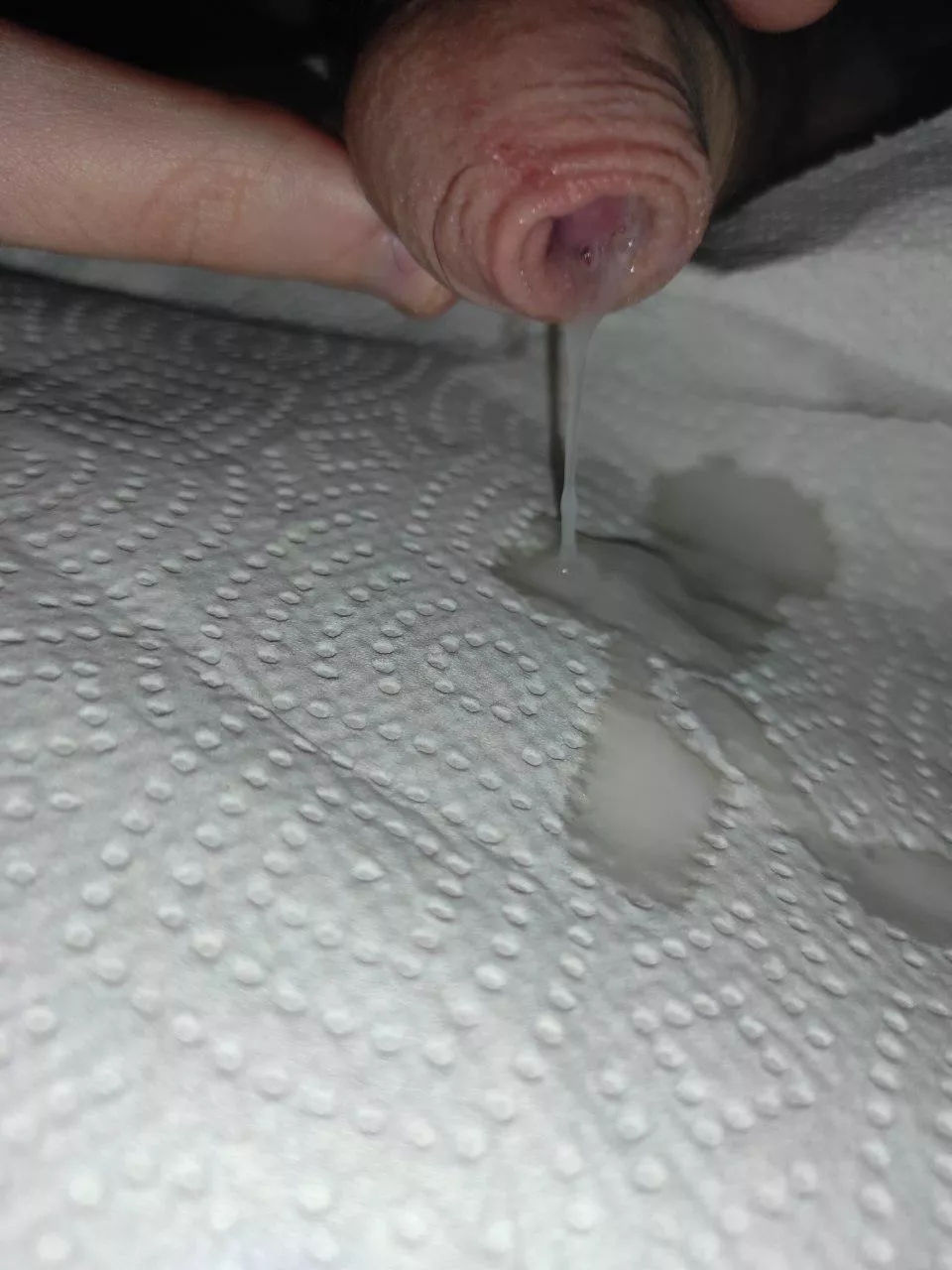 Fountain of youth posted by PiselloBisex01