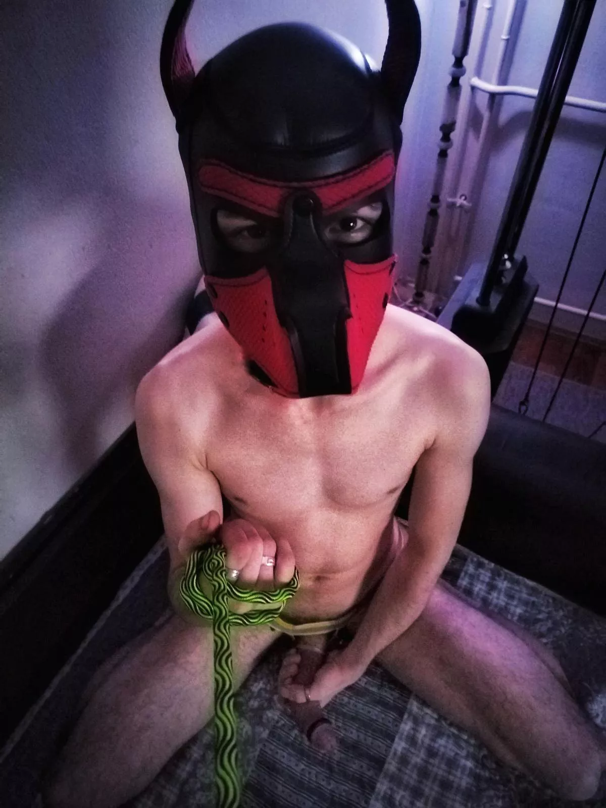 Get over here posted by LupinusThePup