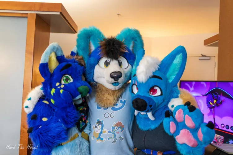 Happy #FursuitFriday from all the cool blue dogs! by spikes232v2