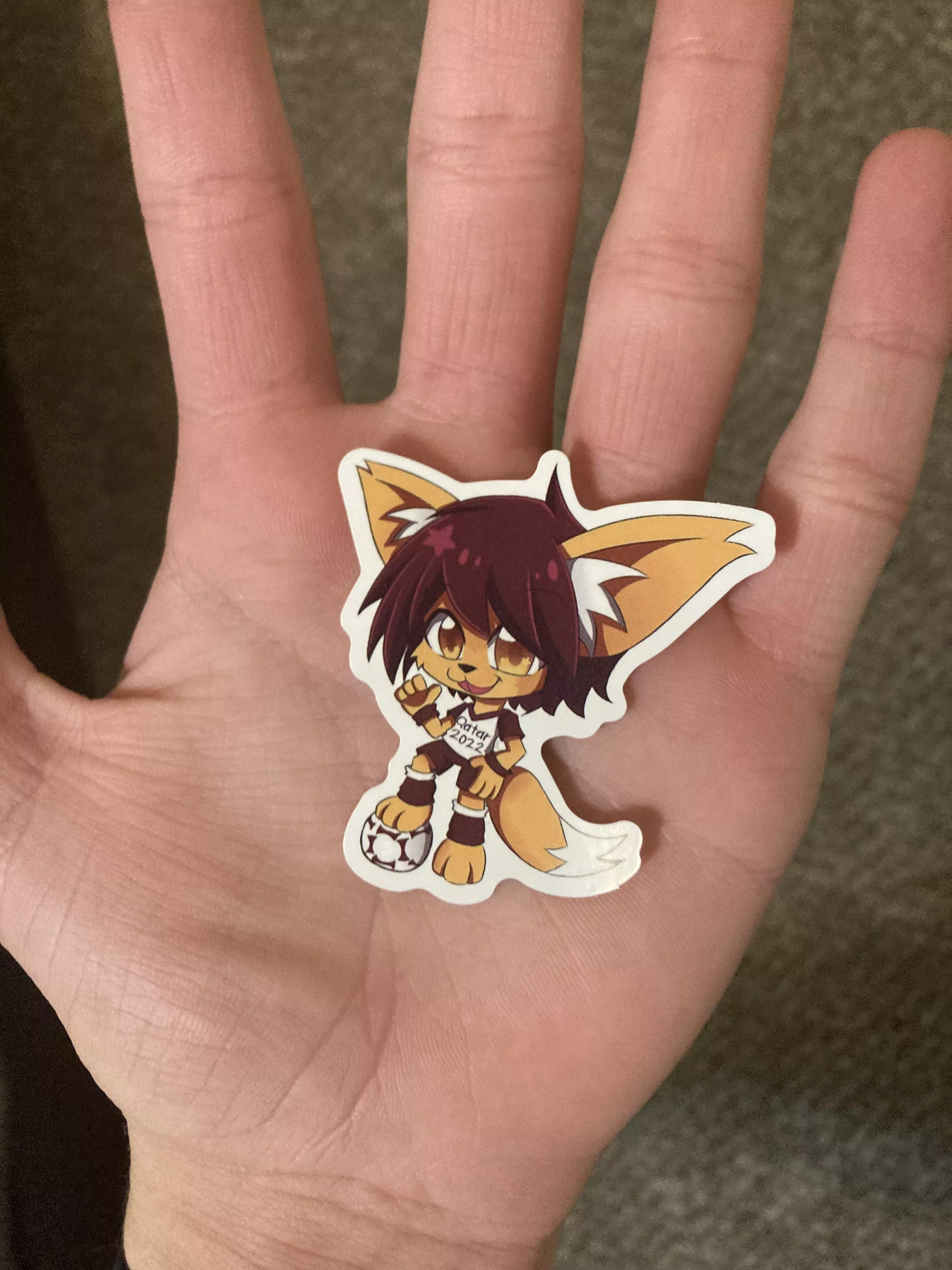 I looked through some World Cup 2022 stickers that I got 2 years ago and found a furry sticker. posted by Legendofzeldaguy