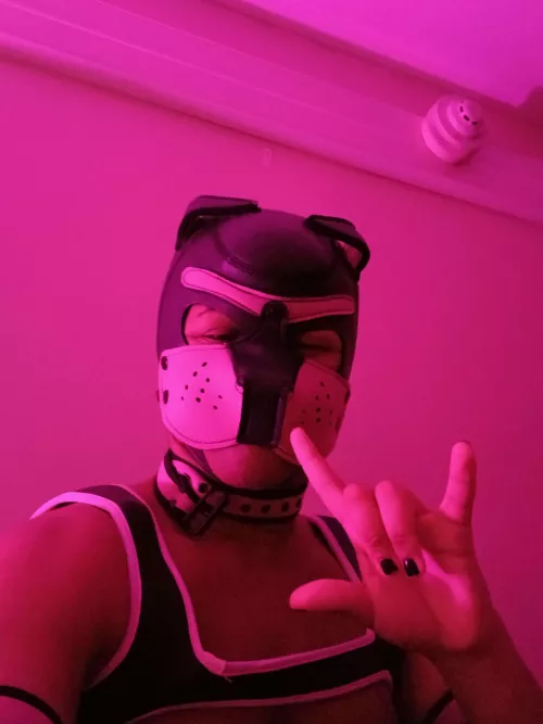 I'm really loving this color by PupAries_