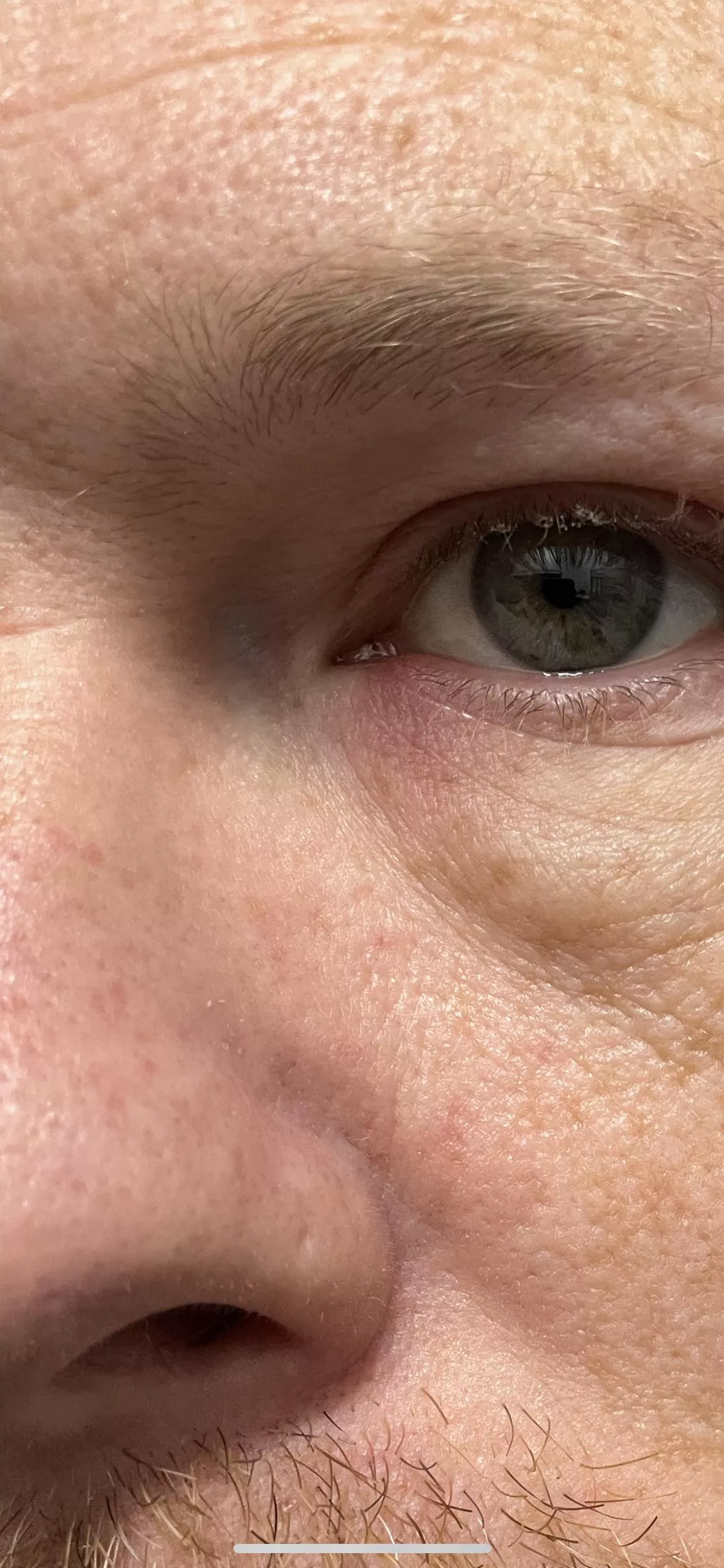 Incoming forbidden pop posted by fallbrook_