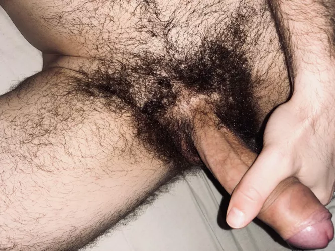 My bush ;)  by mazir303