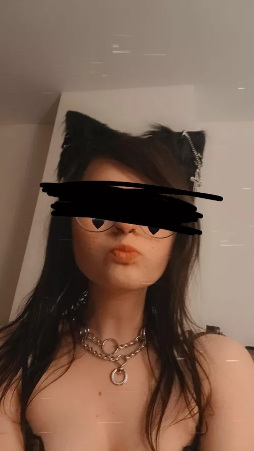 Self collared goth girl, picked this one up at Petco and I'm loving it 🥰 by kiiiiittykaaat