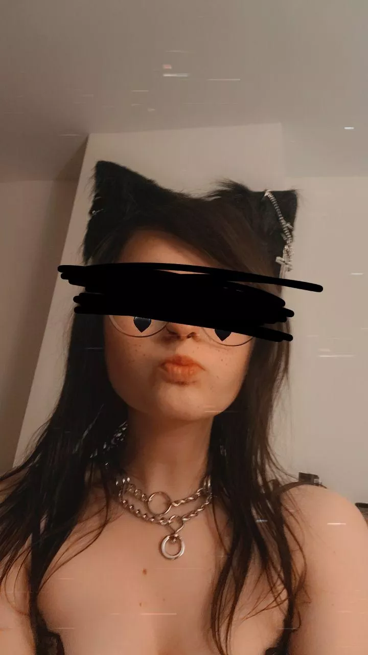 Self collared goth girl, picked this one up at Petco and I'm loving it 🥰 posted by kiiiiittykaaat