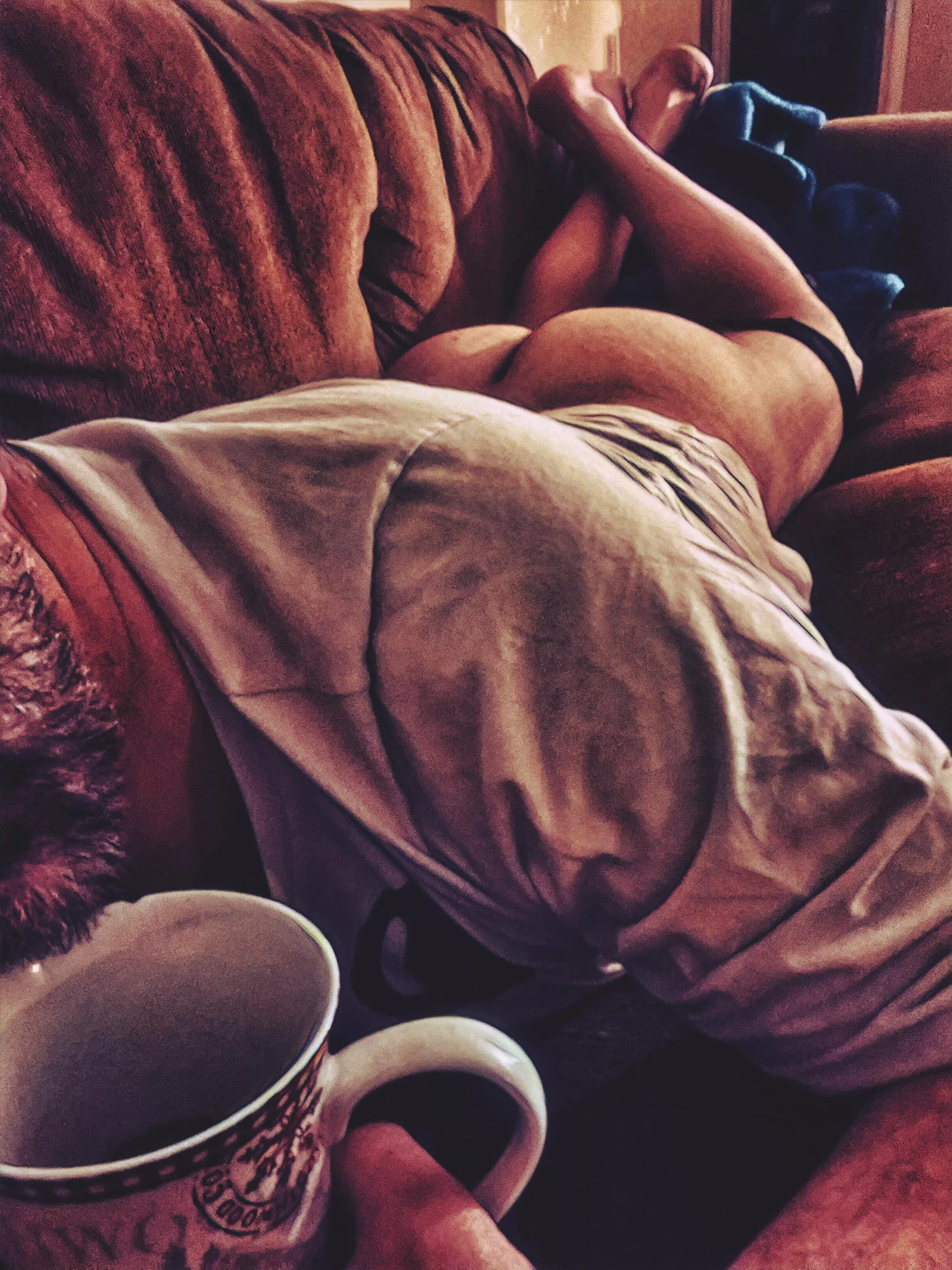 Slow start today.  Comfort is taking over. posted by jsc_4_u