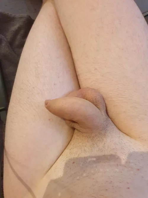 Softie by Little-Ad9968