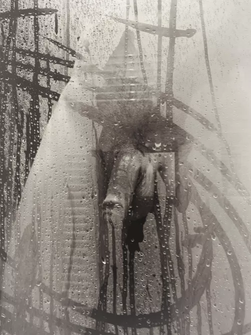 Steamy windows by CoarseGrainedMouser