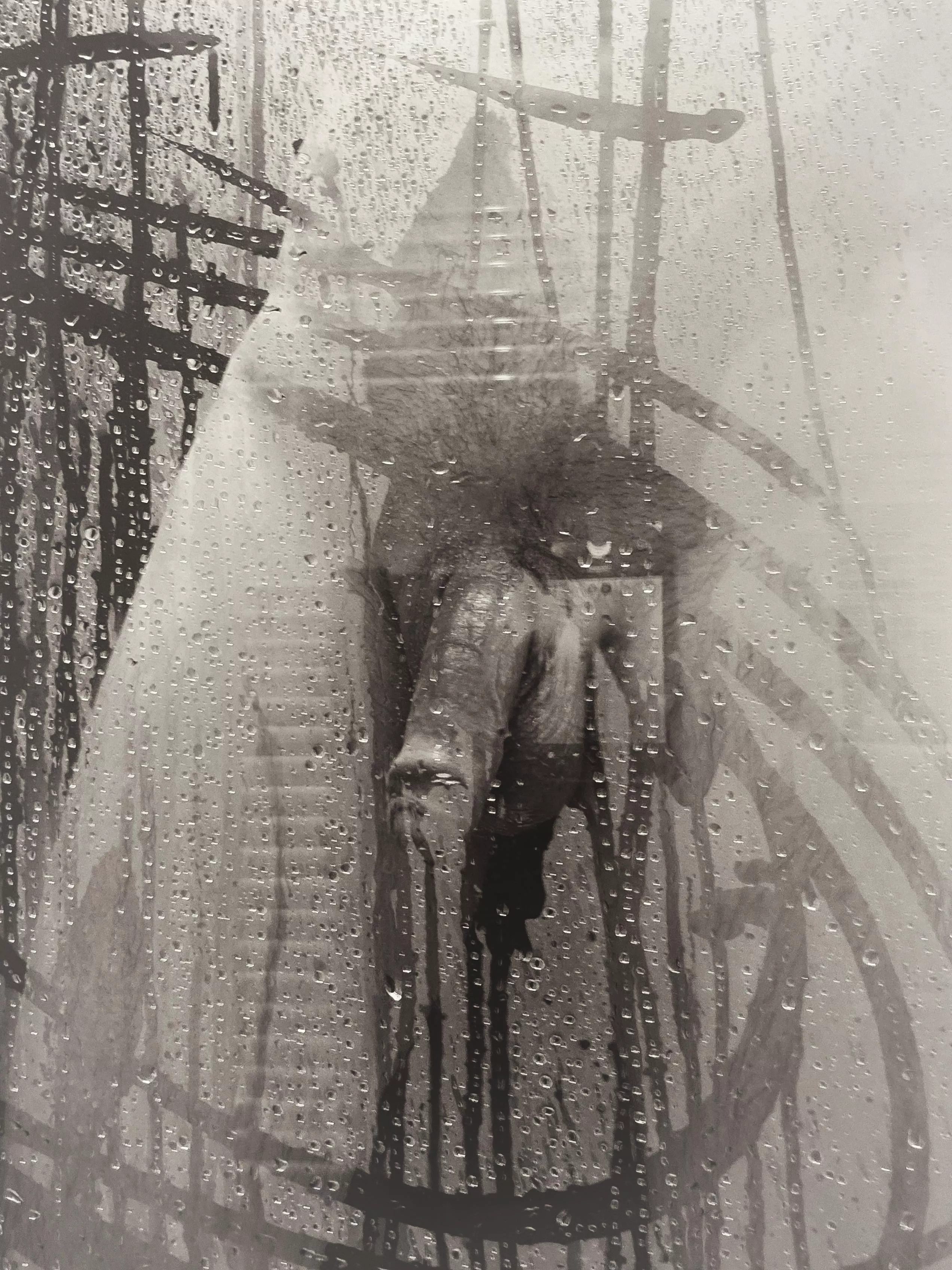 Steamy windows posted by CoarseGrainedMouser