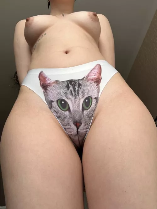 The view from below can be very beautiful by Natural_katie