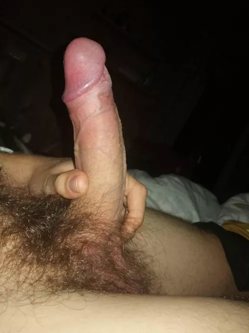 What do u think?  by Upset-Cream-6611