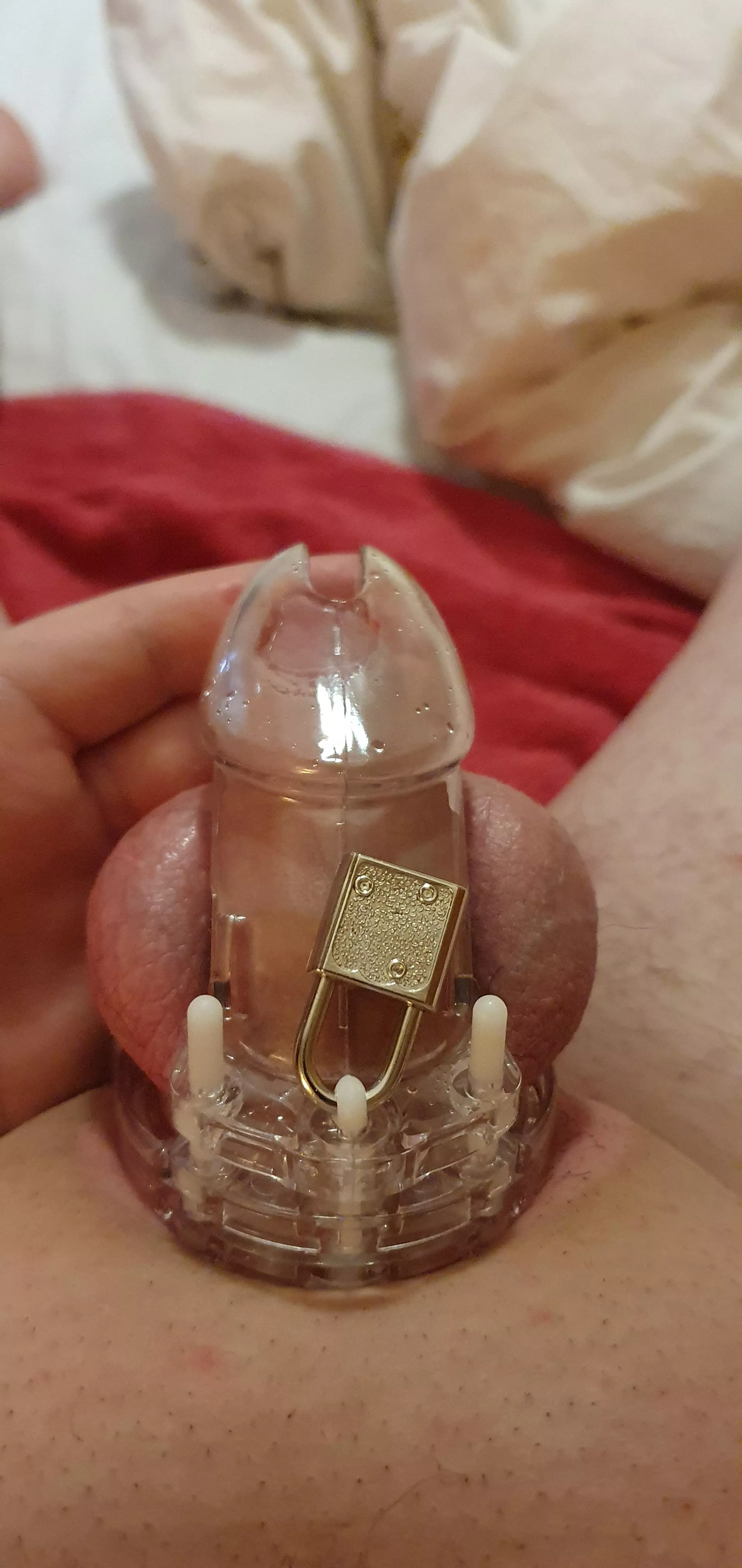 19 first cage xxx posted by uksissybittch