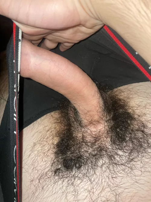 19m looking for Extreemly hairy guys around my age add Pickle9918 by NoToday4493